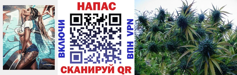 Виды наркоты Минусинск ГАШ АМФЕТАМИН Мефедрон Каннабис Псилоцибиновые грибы КОКАИН