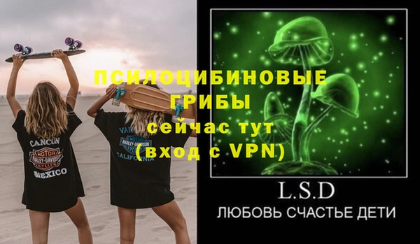 соль курить ск Новодвинск